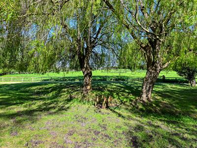Picture 29